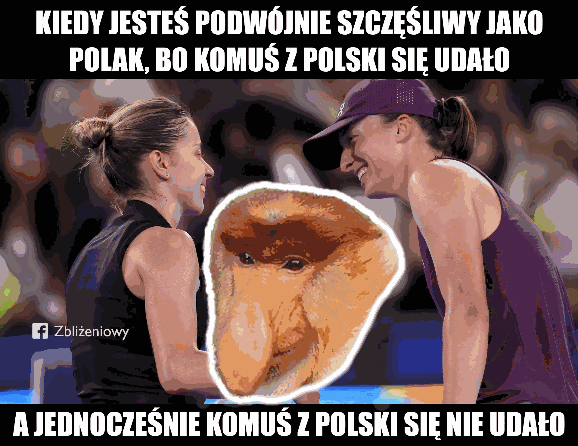11c3b37219300f2b9b794fc9.png